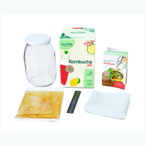 Buy Kefir Kit by Mad Millie I HealthPost NZ